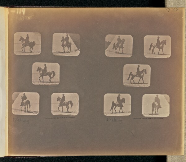 Eadweard J. Muybridge, Walking