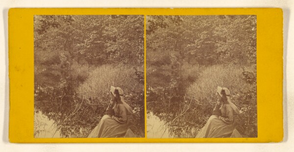 John B. Heywood, Solitude. [White Mountain]