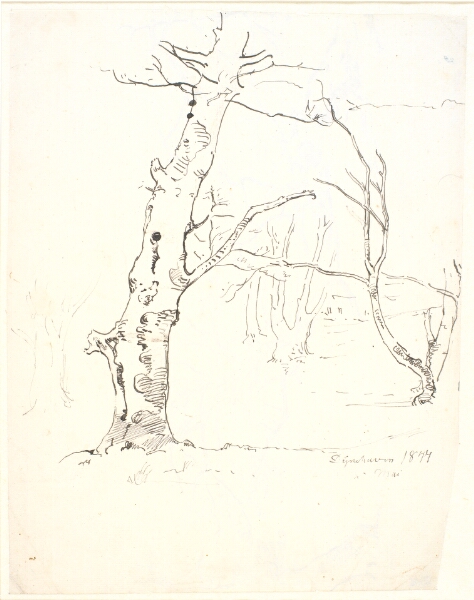 Dankvart Dreyer, Træstammer