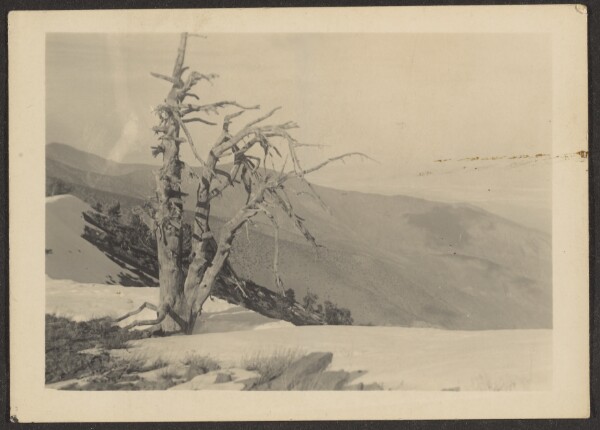 Louis Fleckenstein, [Landscape]