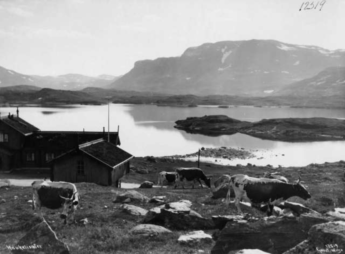 Anders Beer Wilse, -7897