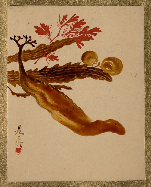 Shibata Zeshin, Seaweed