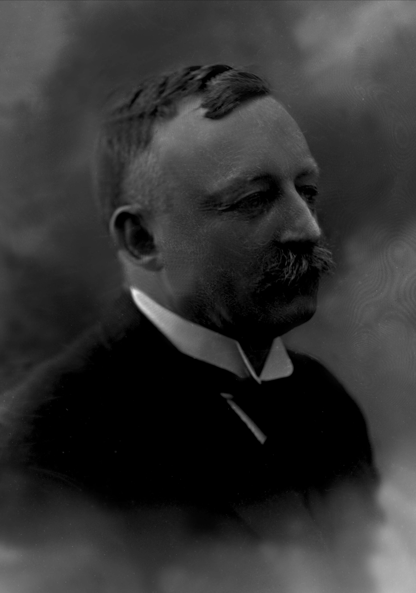 Gustav Borgen, NFB.11986