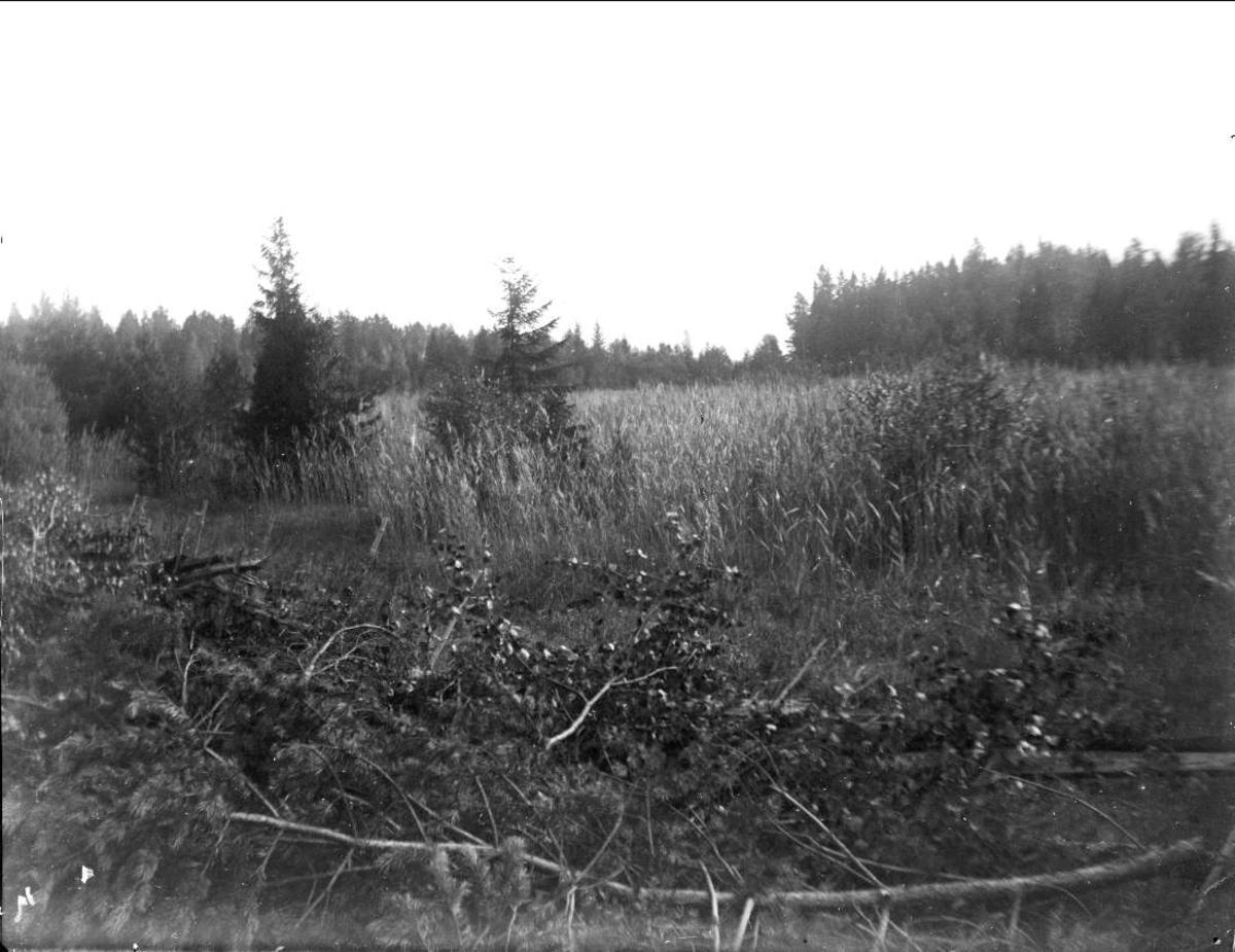 August Fredrik Schagerström, Ängsmark nära Furuvik, Gästrikland september 1926