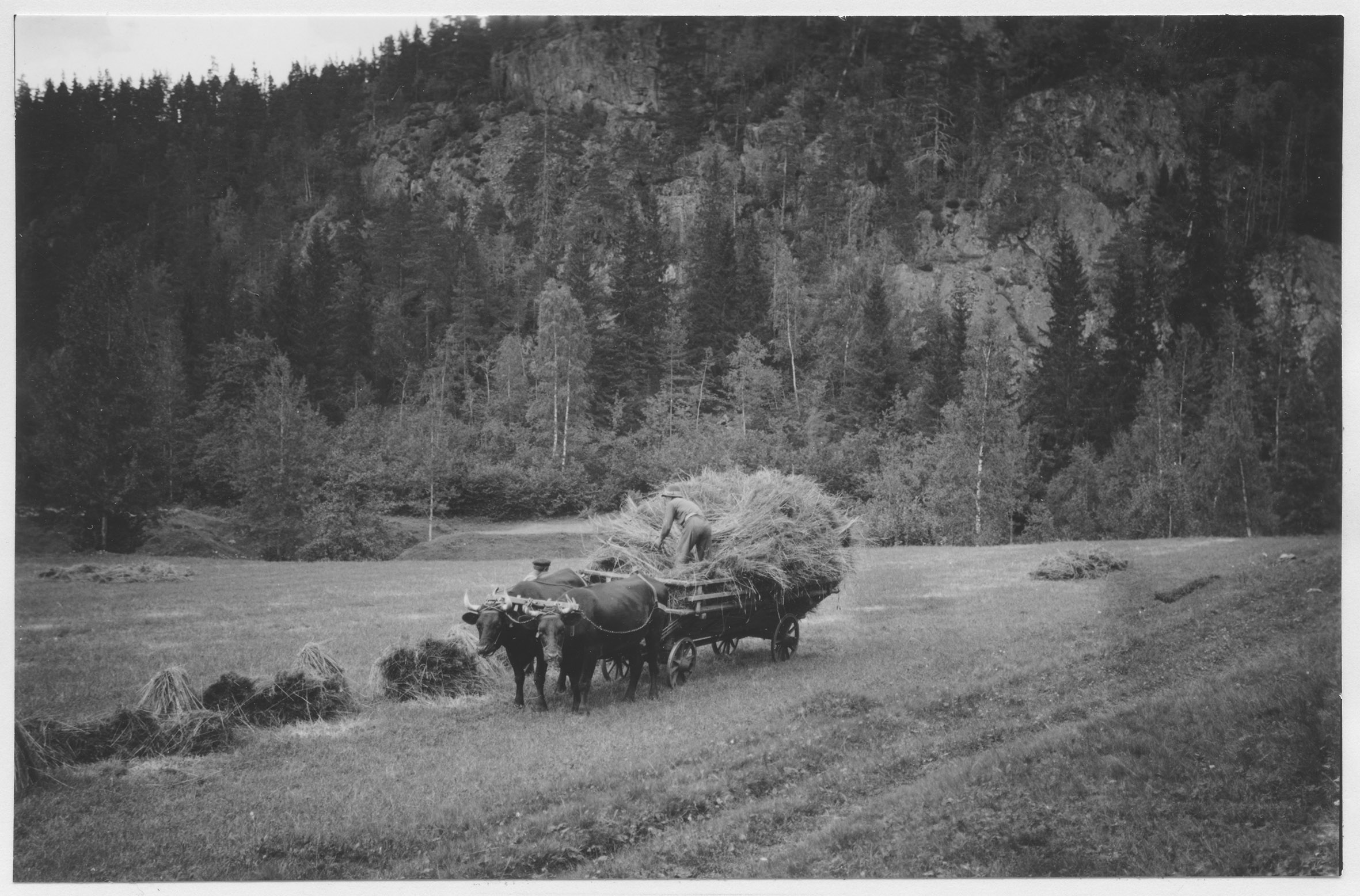 Mårten Sjöbeck, Skåle klint