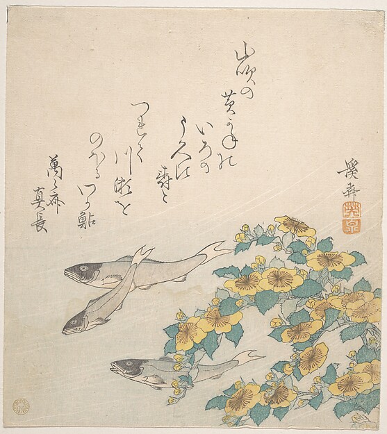 Keisai Eisen, Fishes Swimming with Yellow Flowers