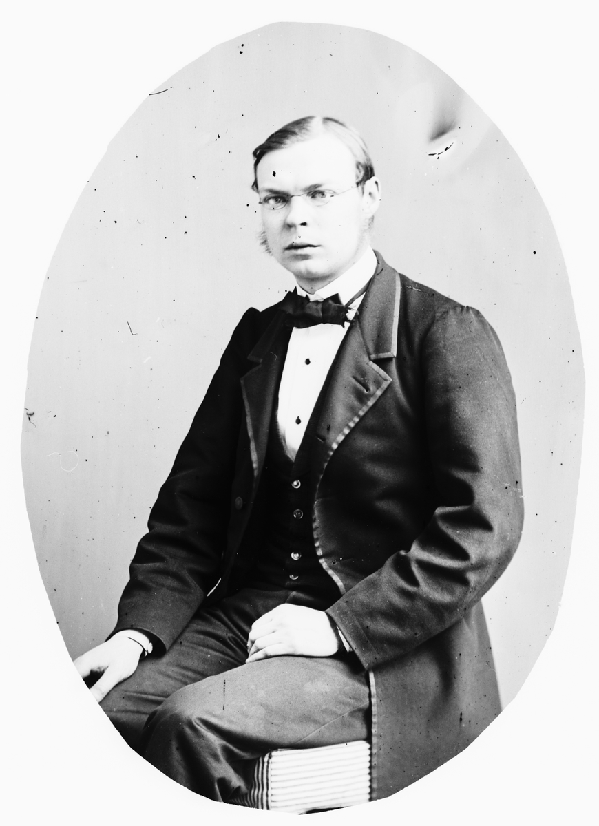 Carl Curman, Mansporträtt