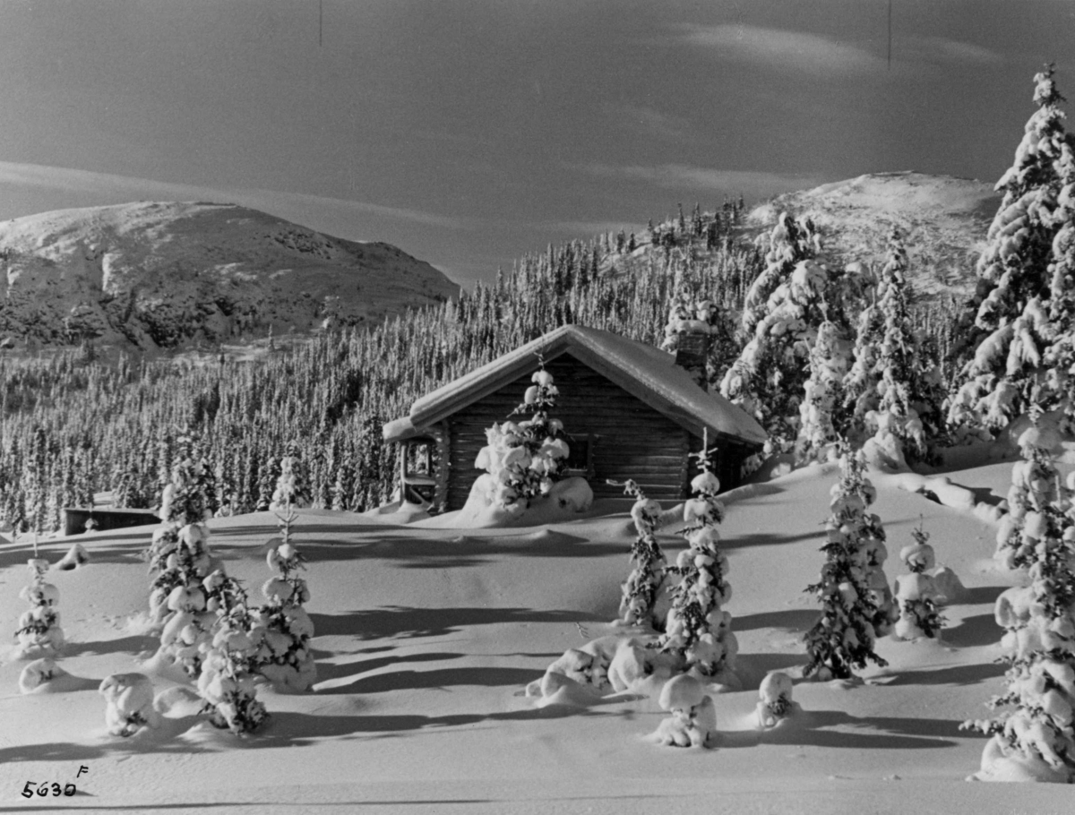 Anders Beer Wilse, Fjellvidde, Bebyggelse, Vinter, Sno
