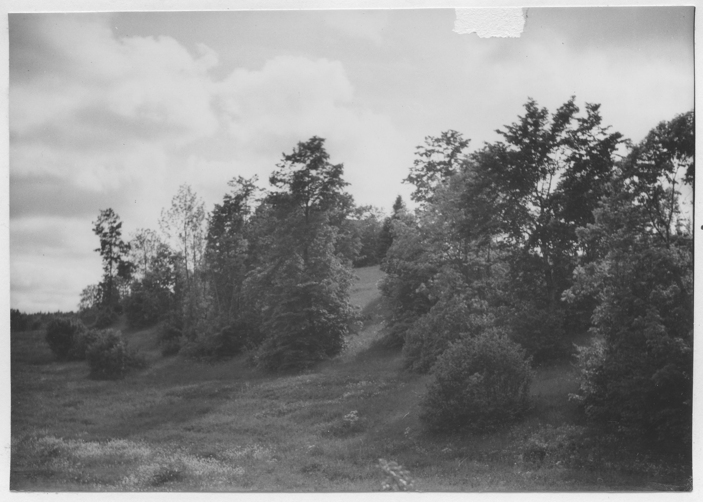 Mårten Sjöbeck, Ränsliden