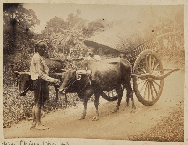 Unknown, At Saigon. Cochin China (French)