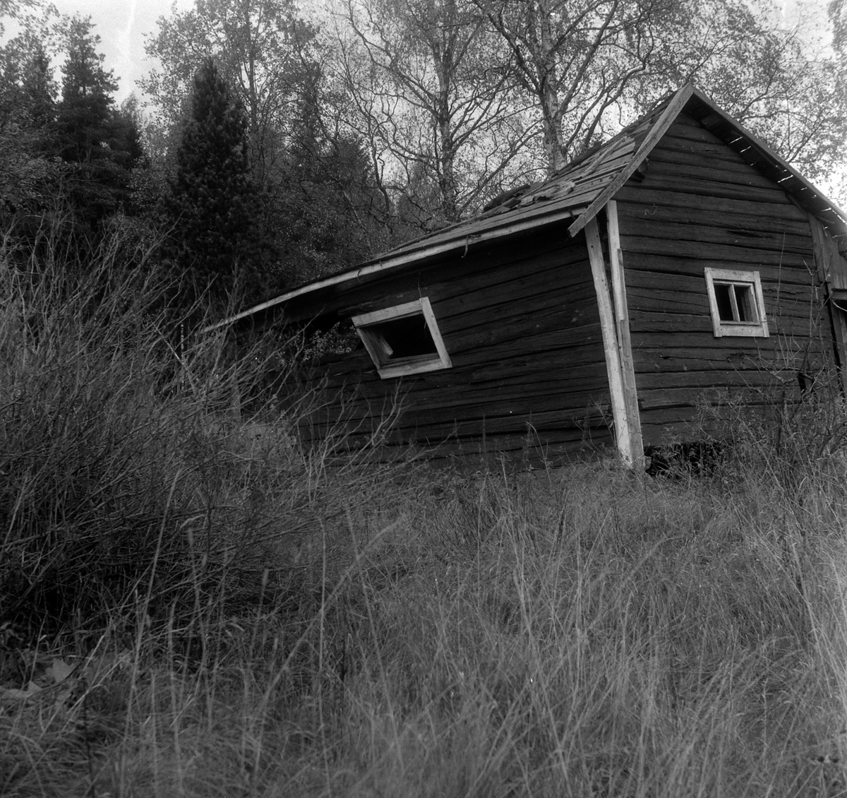 Adolf Skjegstad, ASK-02329