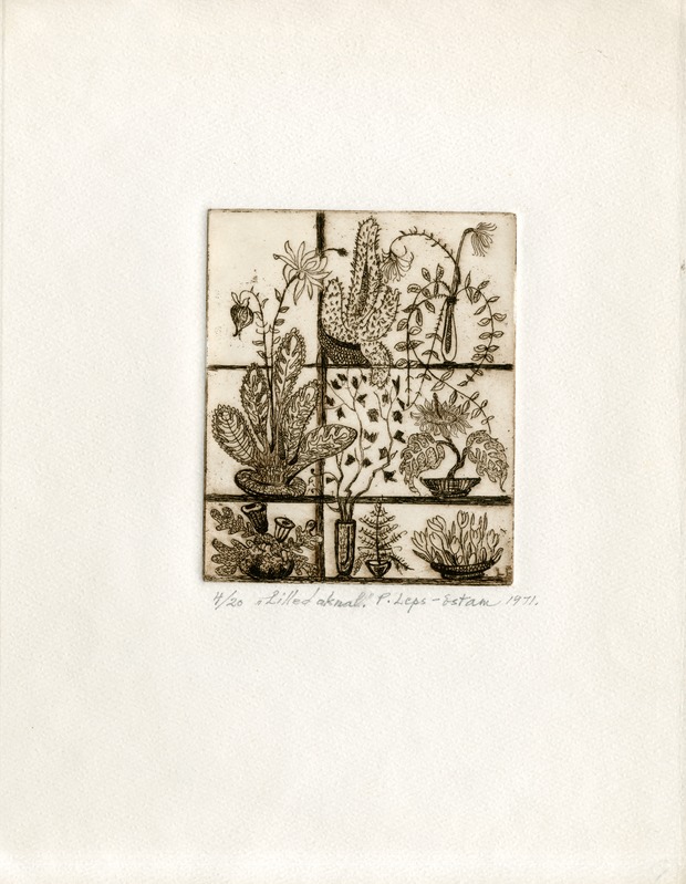 Pauline Elfriede (autor) Leps-Estam, Lilled aknal