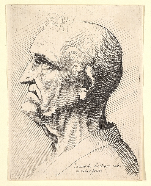 Wenceslaus Hollar, Head of an old man with tufts of curly hair around ear in profile to left