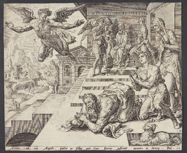 Maarten van Heemskerck, Englens afrejse