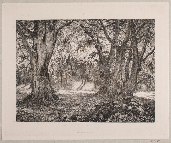 Vilhelm Kyhn, Det indre af en skov