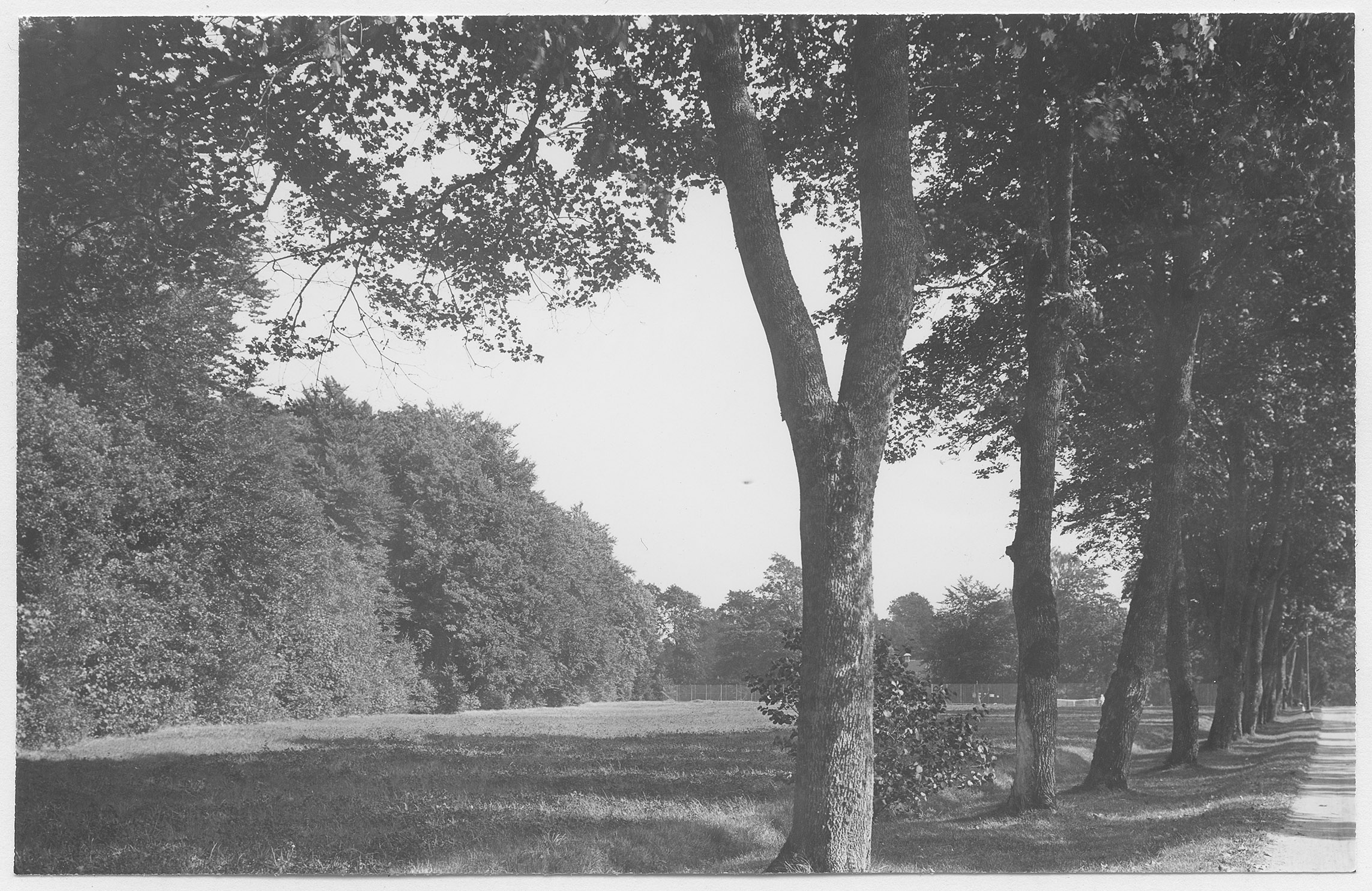 Mårten Sjöbeck, Nolhaga herrgård