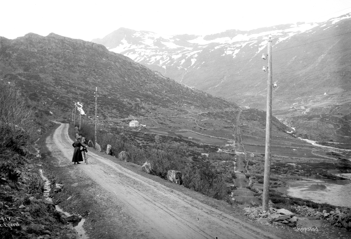 Anders Beer Wilse, Prot: Valdres - Skogstad, nye og gamle vei