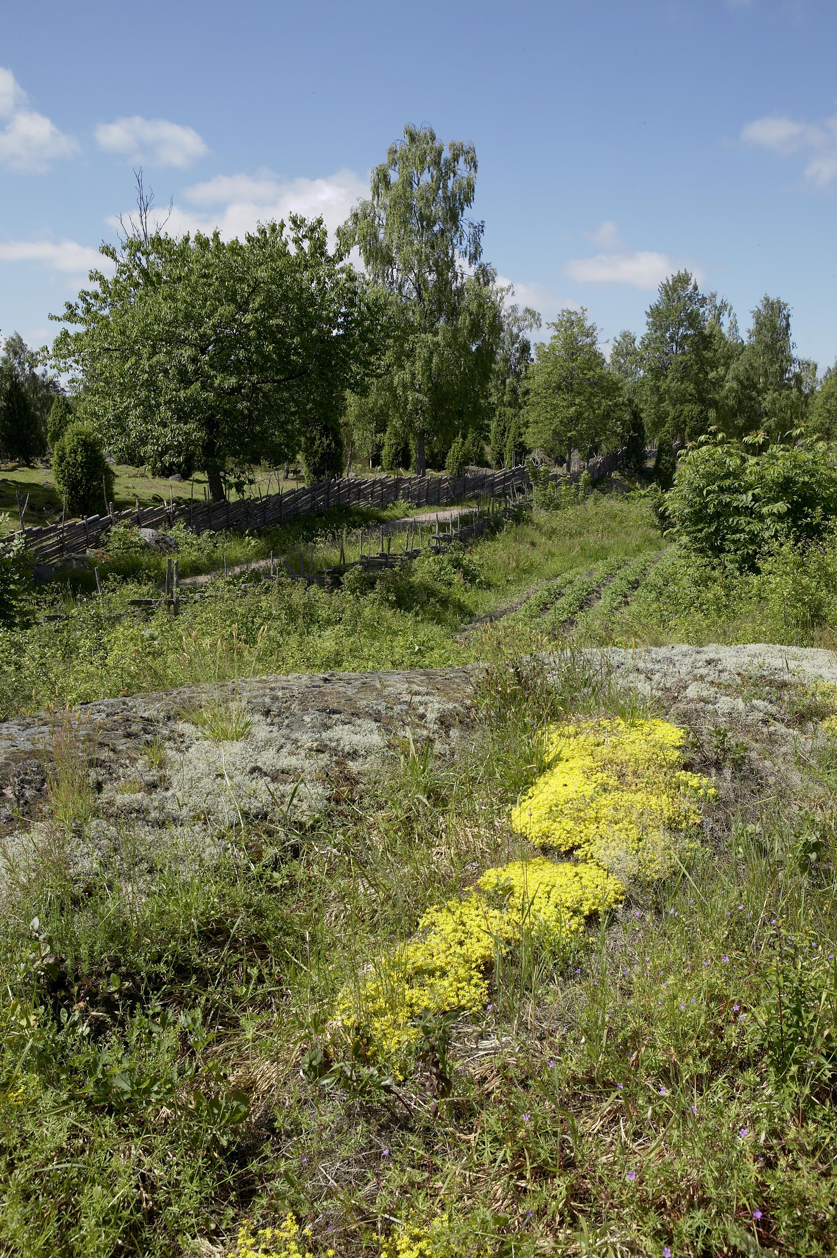 Bengt A Lundberg, Stensjö by