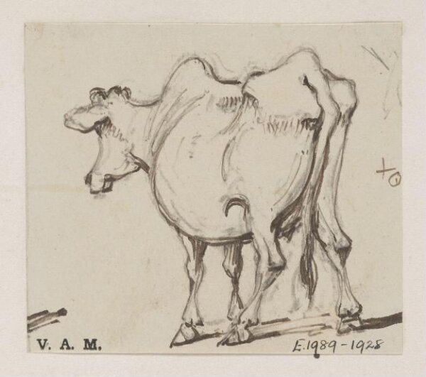George Chinnery, A cow