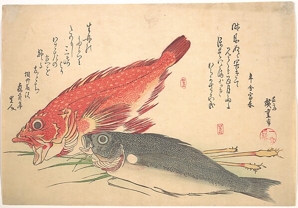 Utagawa Hiroshige, Isaki and Kasago Fish, from the series Uozukushi (Every Variety of Fish)