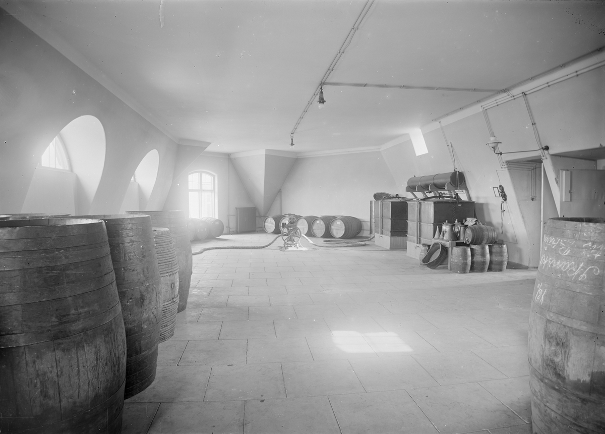 Henri Osti's Fotografiateliér, The Laboratory, Two Stairs Up, Sprihandelsbolag, Uppsala 1909