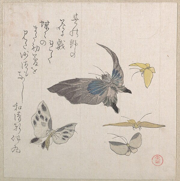 Kubo Shunman, Butterflies