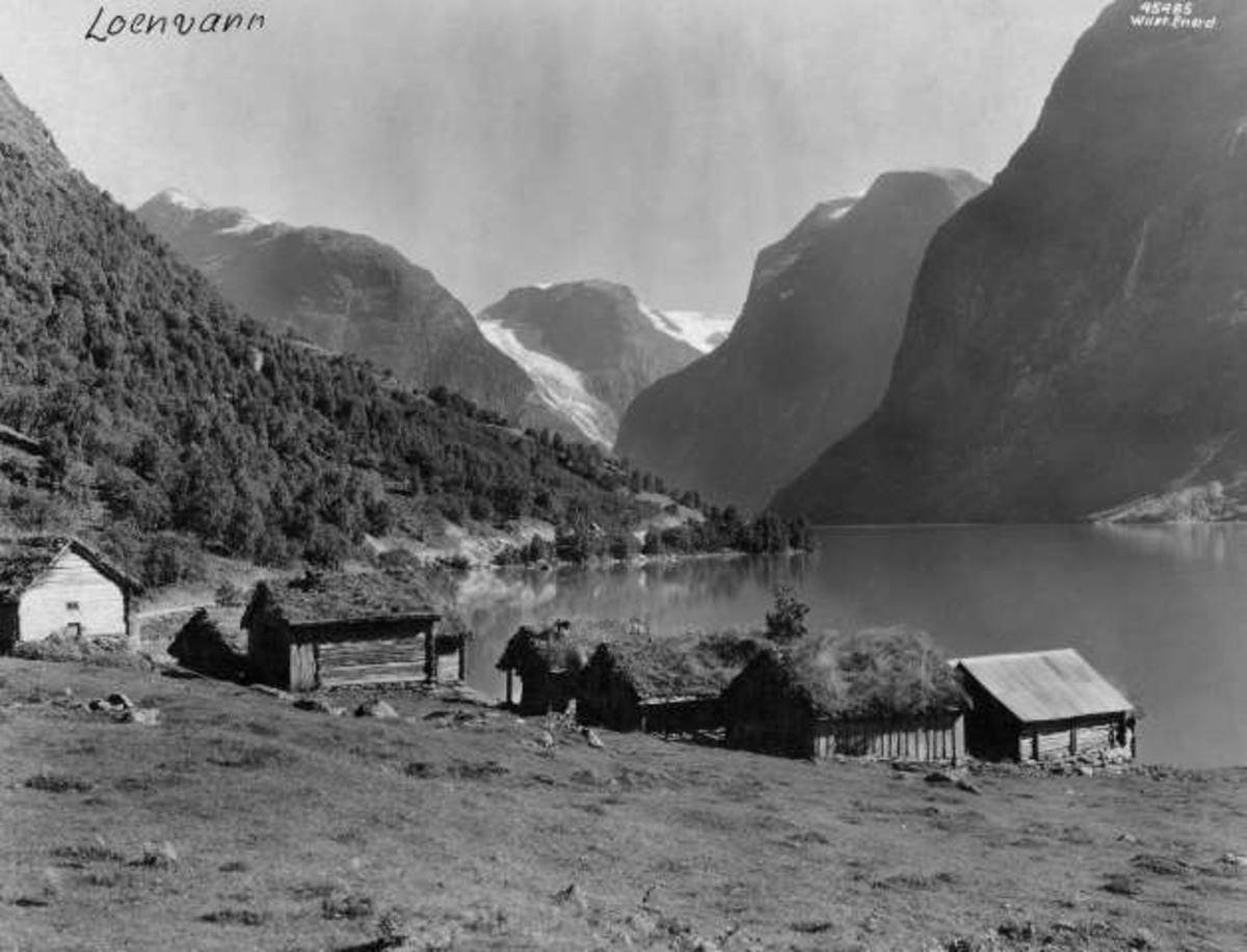 Anders Beer Wilse, -7147