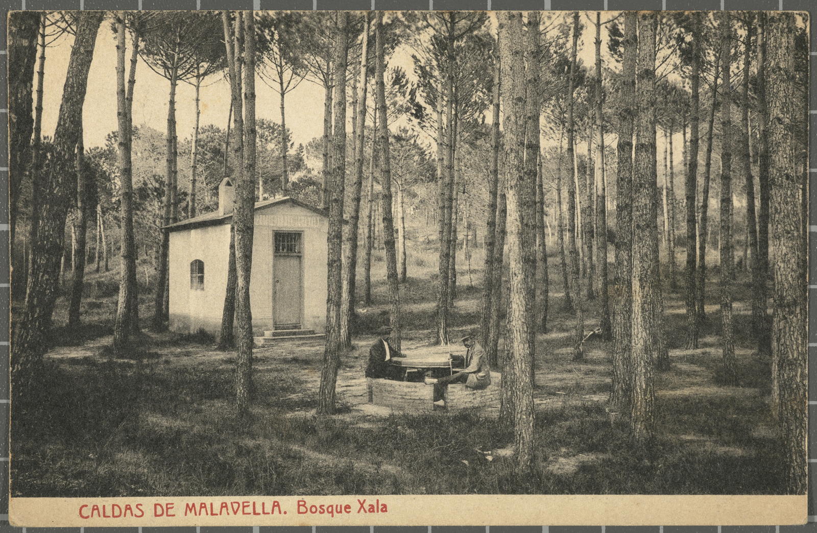 Josep Thomas Bigas, CALDAS DE MALAVELLA. Bosque Xala