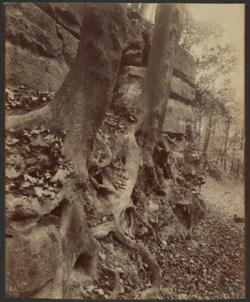 Eugène Atget, Parc de Saint-Cloud