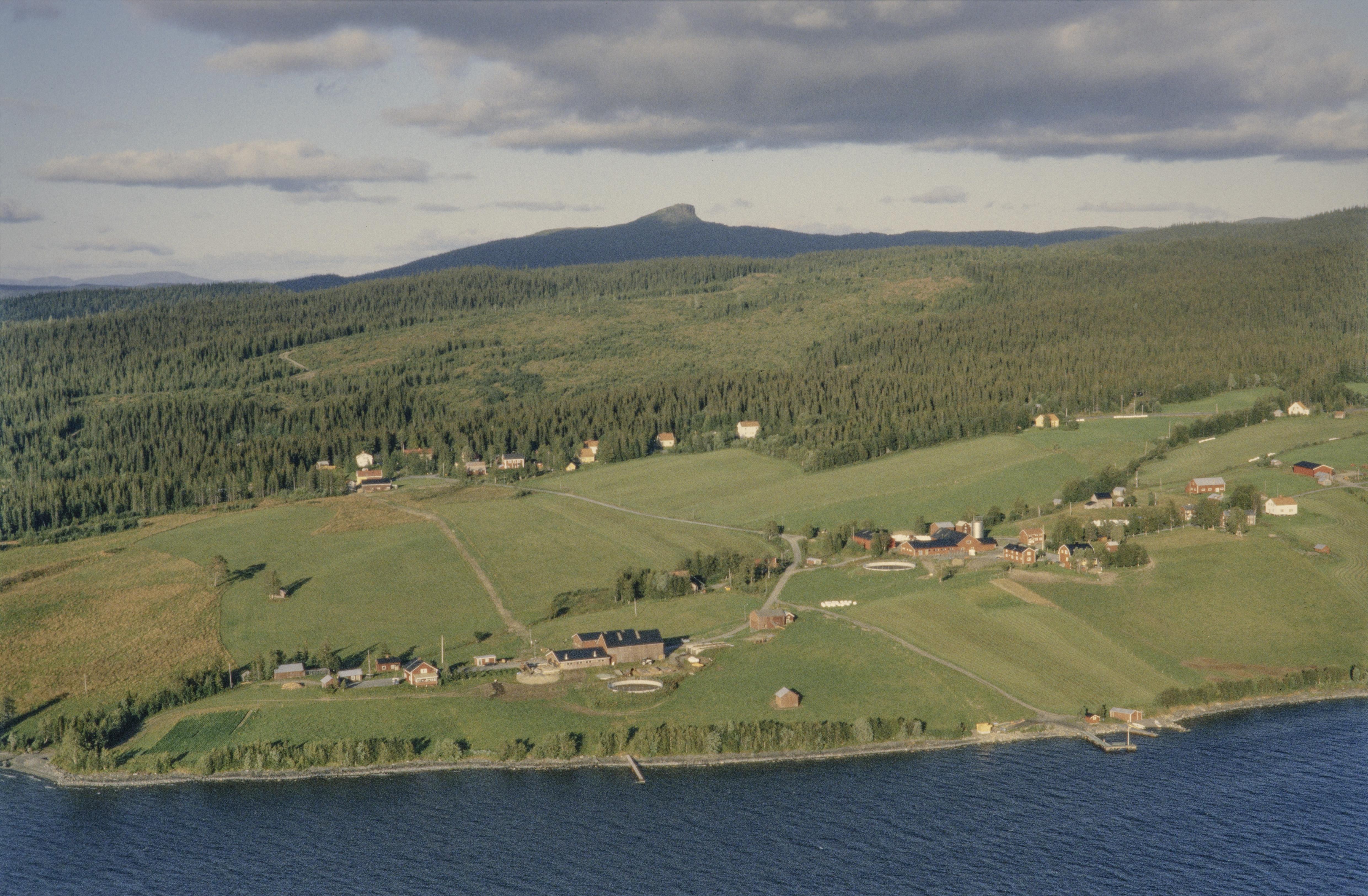 Jan Norrman, Kall-Rör