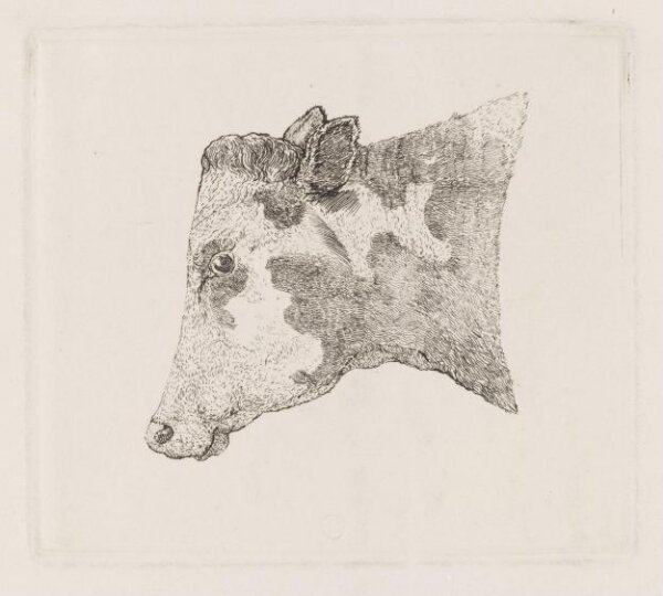 Unknown, Print
