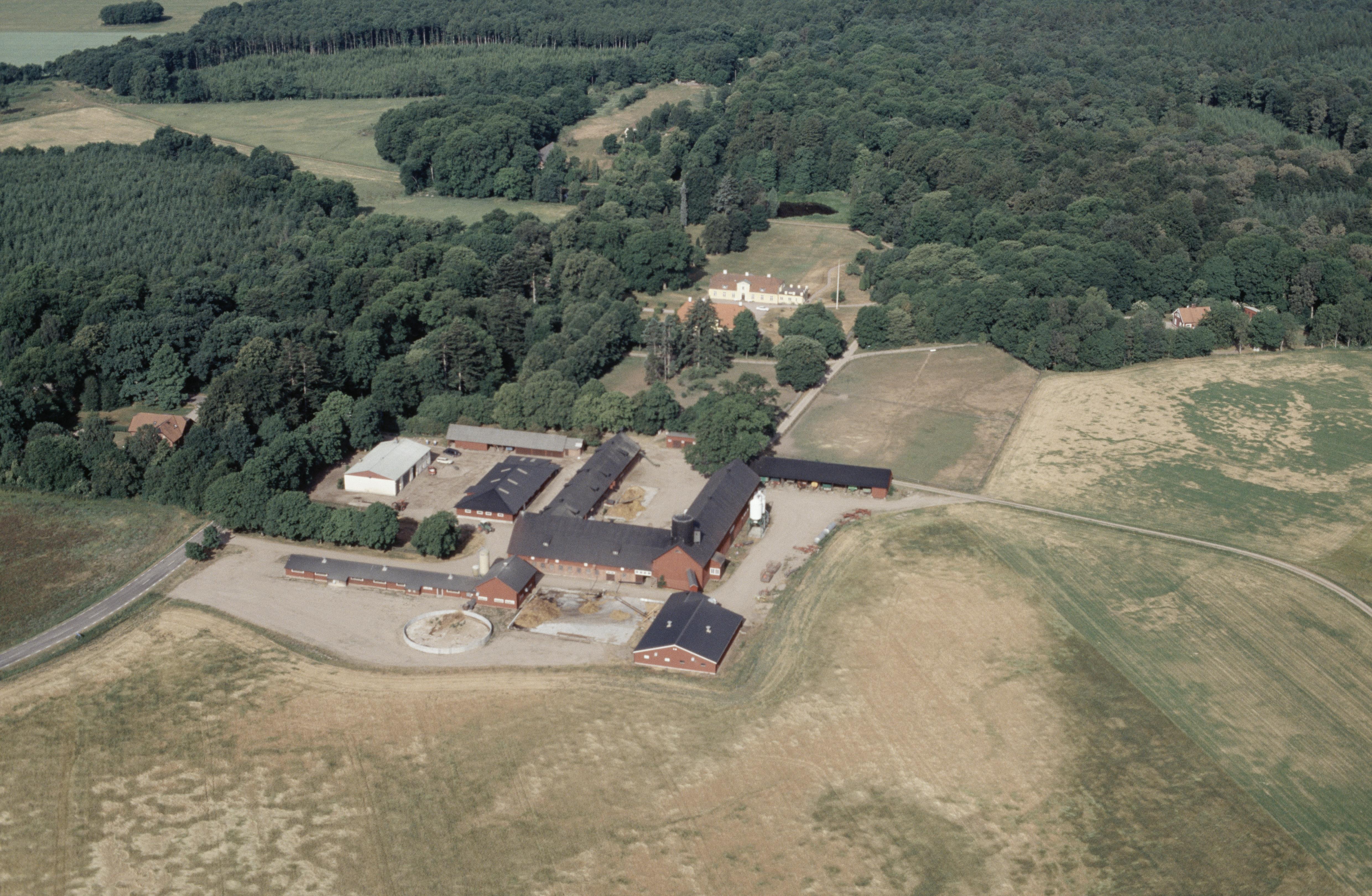 Jan Norrman, Stjärnarp
