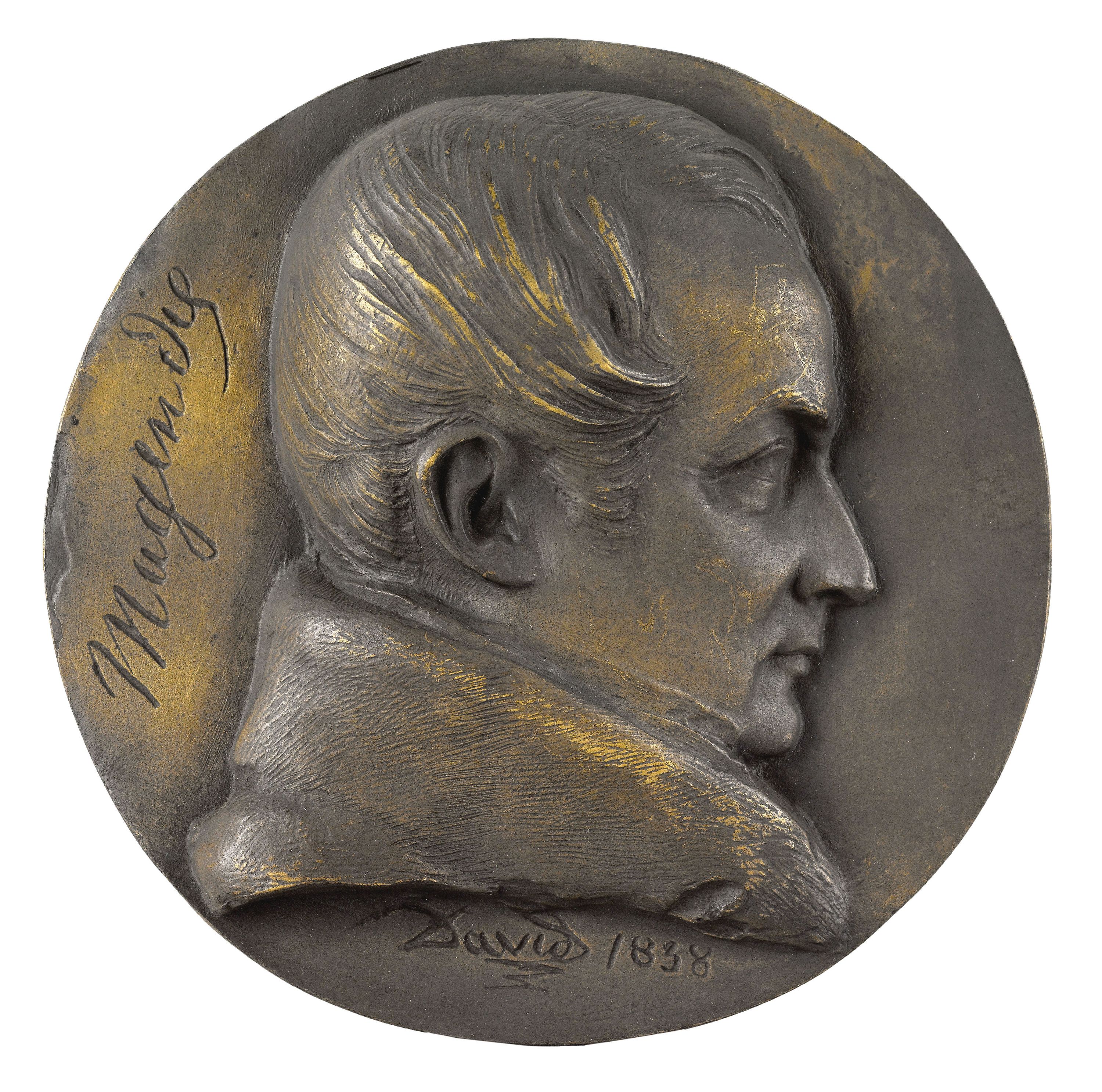 David d'Angers, Portrait de François Magendie (1783-1855), physiologiste