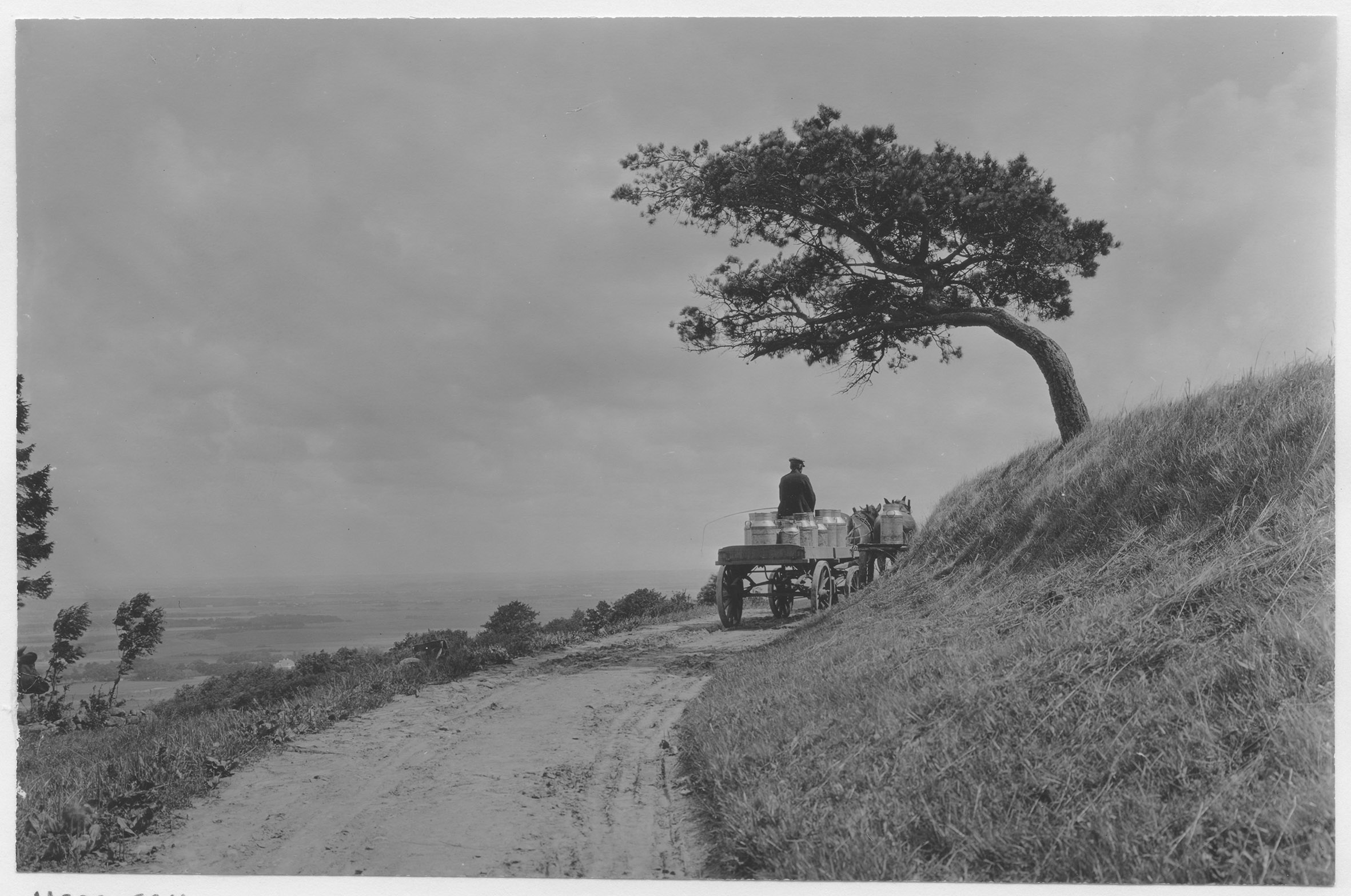 Mårten Sjöbeck, Båstad