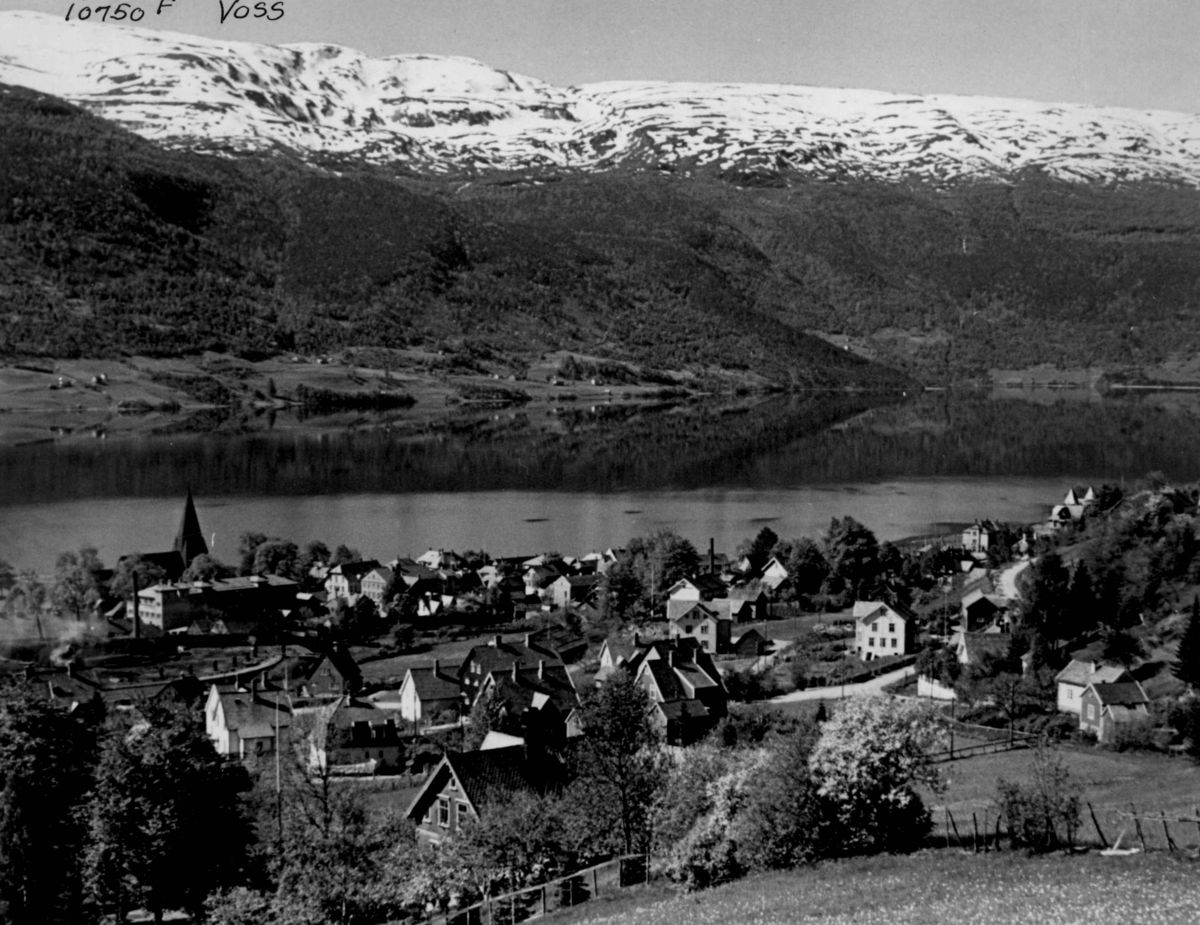 Anders Beer Wilse, Vangsvatnet, Voss.