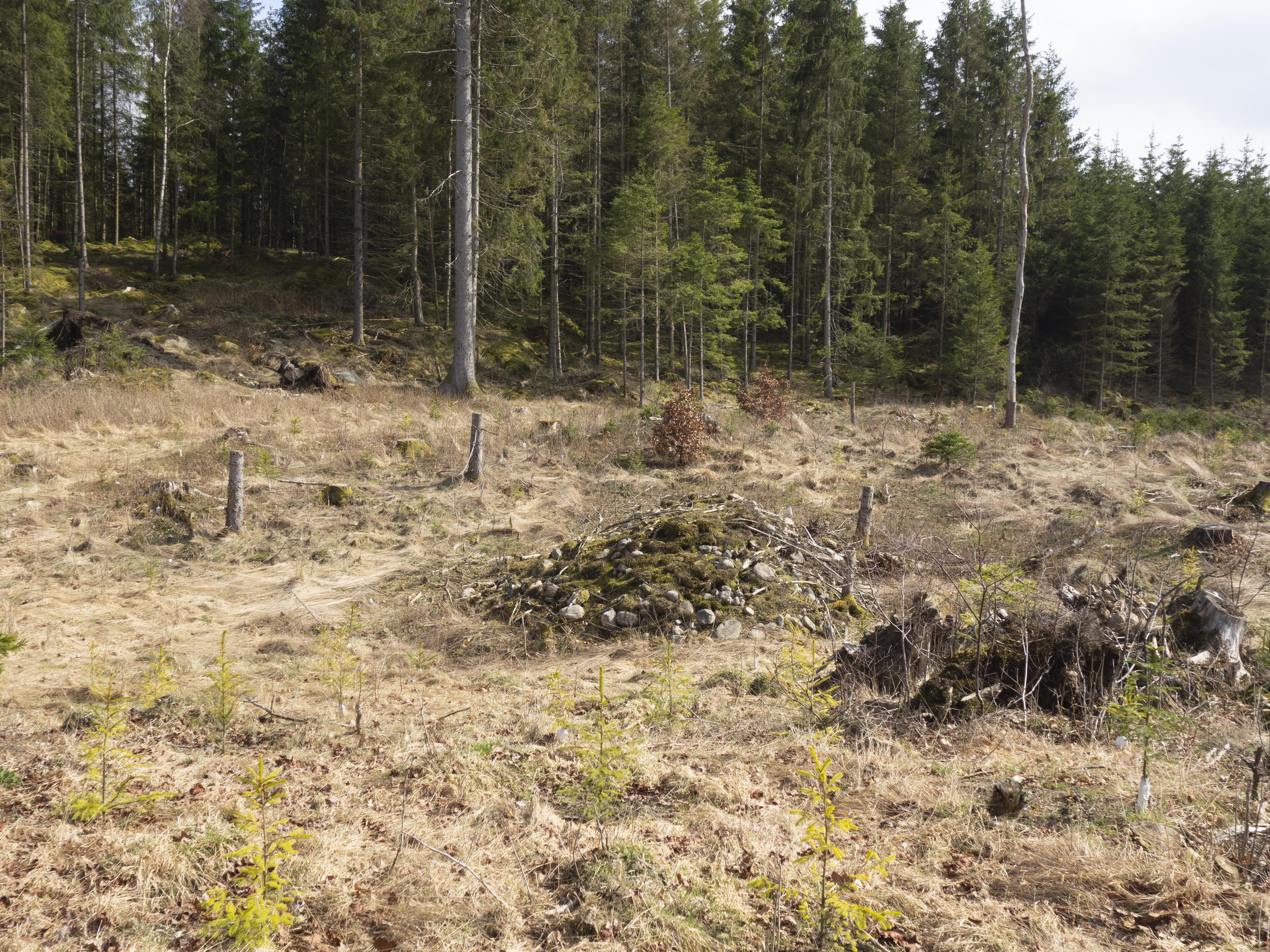 Leif Gren, Femsjö 71:1