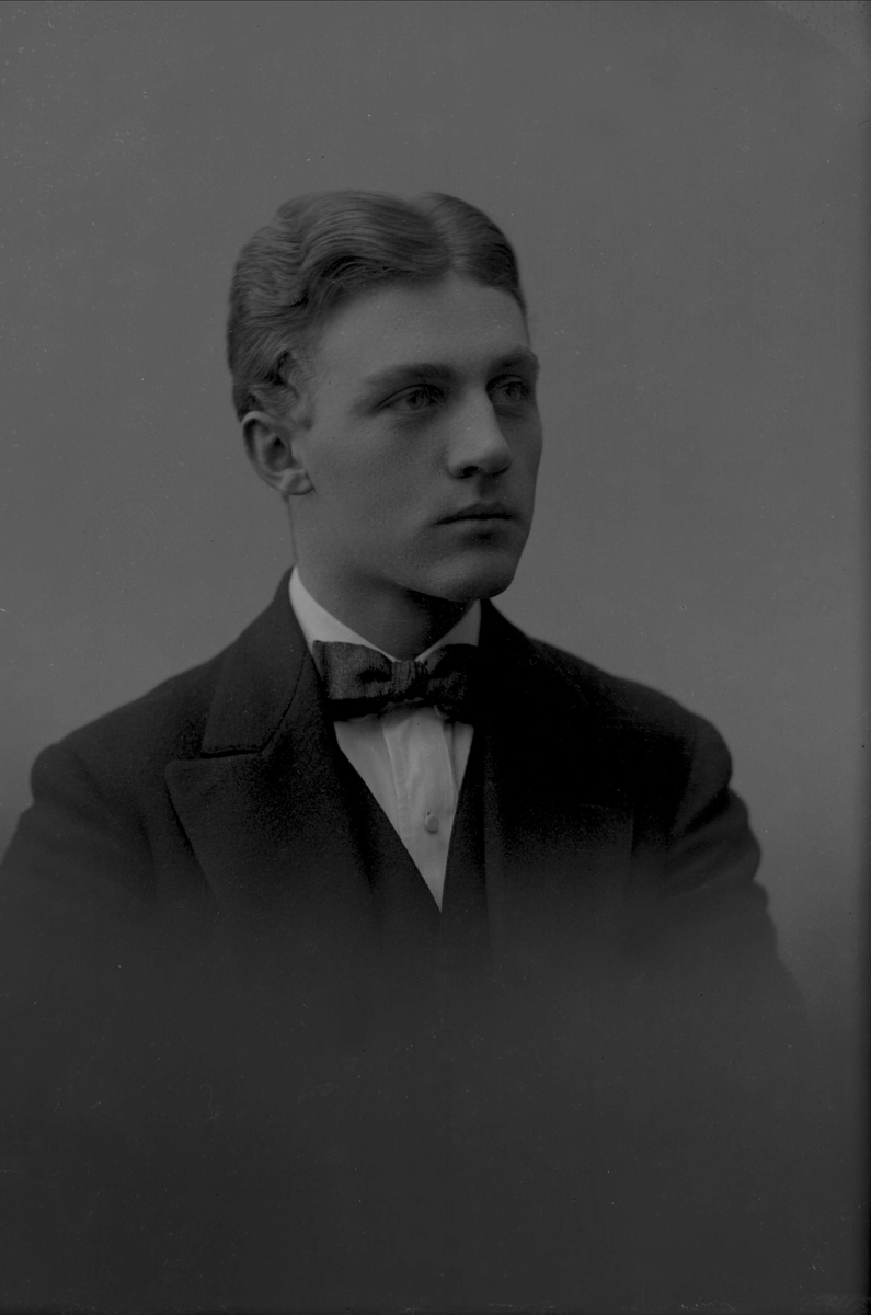 Gustav Borgen, Portrett av Reidar Tiedemann Johannessen