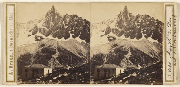 Adolphe Braun, Aiquille du Dru. and Montanvert