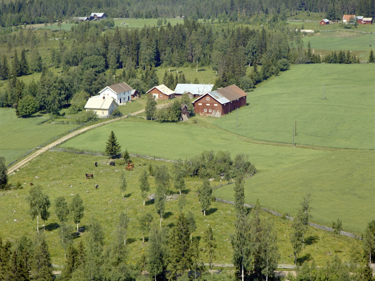 Widerøes Flyveselskap A/S, FLYFOTO VESTGÅRD GARD.