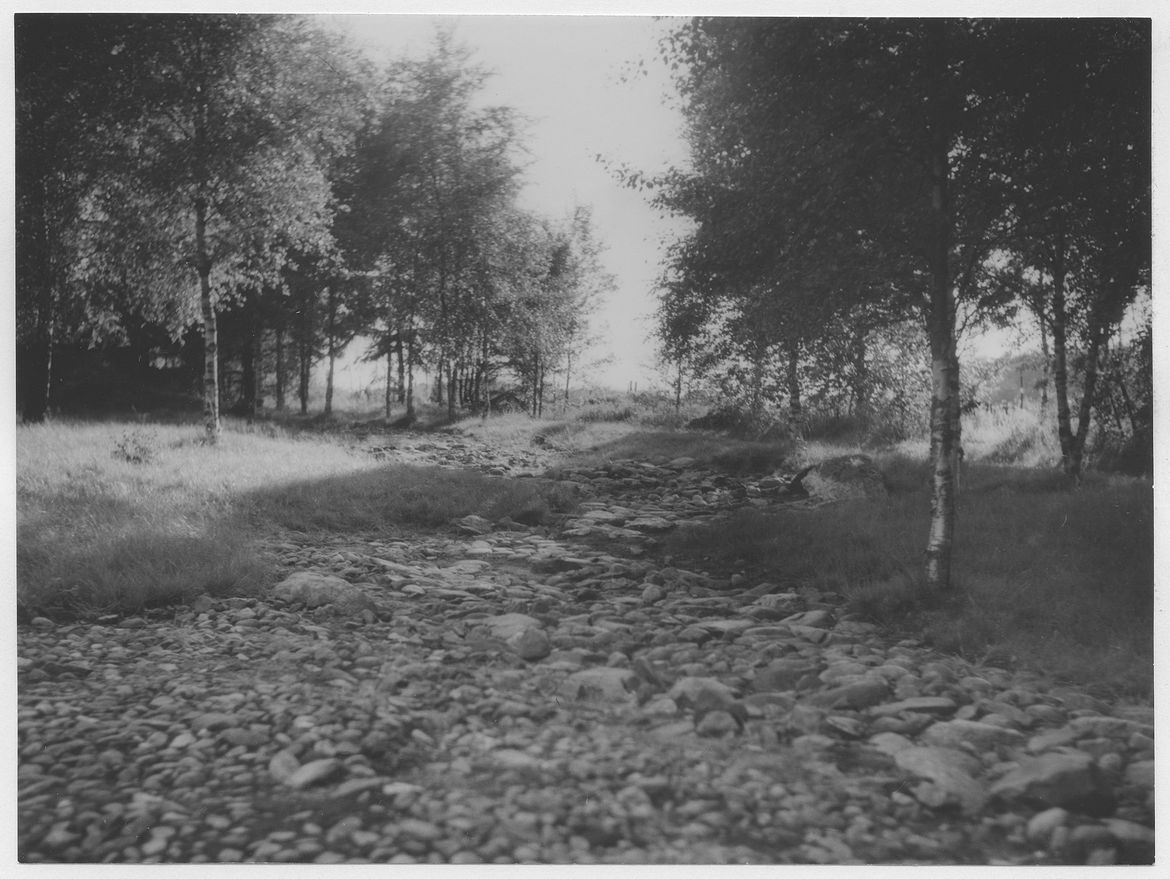 Mårten Sjöbeck, Brätte