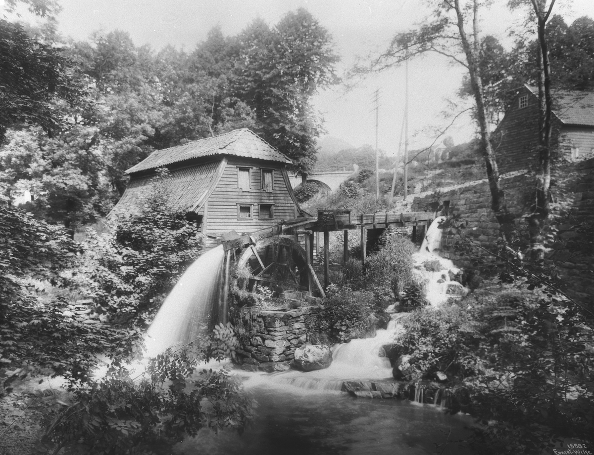 Anders Beer Wilse, Prot: Bergen Den gamle Mølle