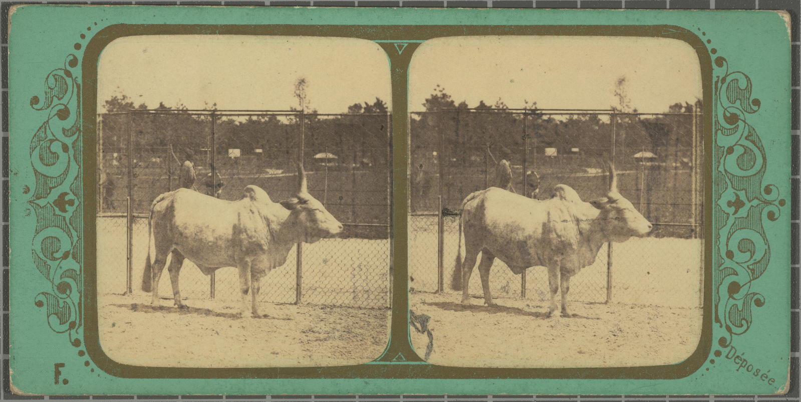Desconegut, Jardin Zoologique d’ acclimatation Bois de Boulogne Justification of the title, registered title
