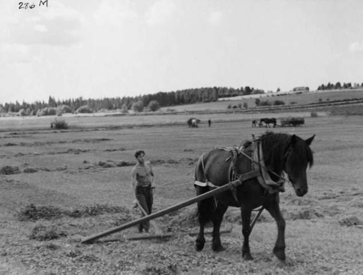 Anders Beer Wilse, -8026