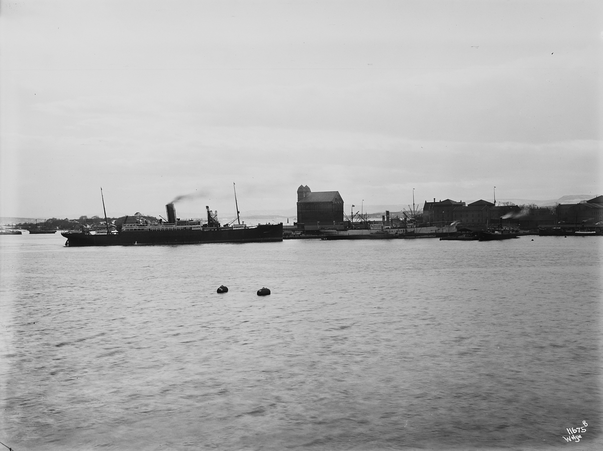 Anders Beer Wilse, Konv: Udsigt fra Nylands verksted/for kapt. Fjestad/panorama