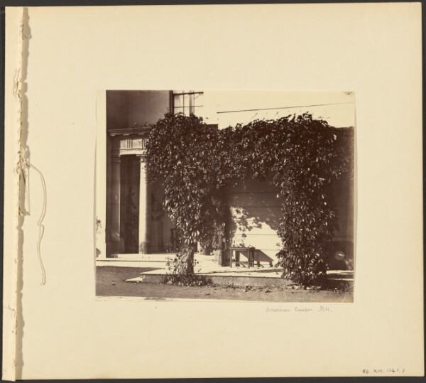 Alfred Capel-Cure, American Creeper, Blake Hall