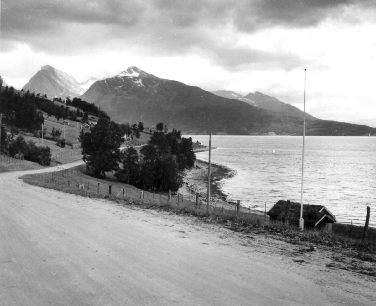 Virginia Raymond Davidson, Ant. Balsfjord