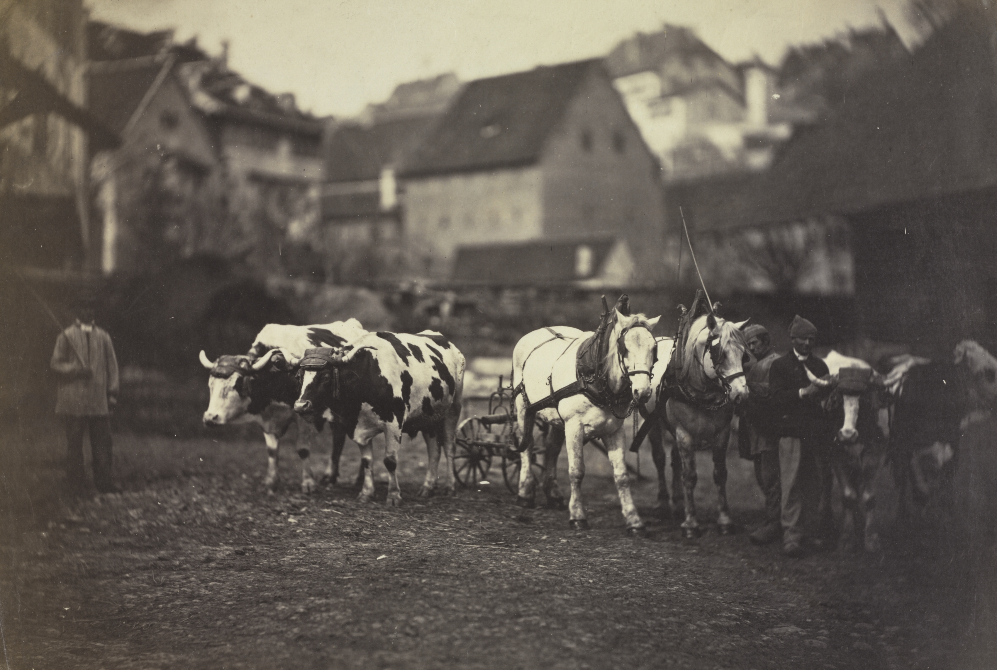 Adolphe Braun, Untitled (Farm Animals)