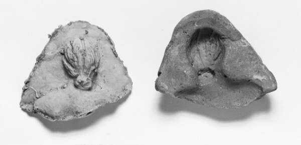 Unknown, Mold Fragment