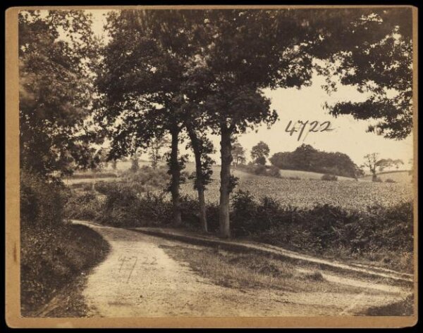 Francis Frith, Photograph