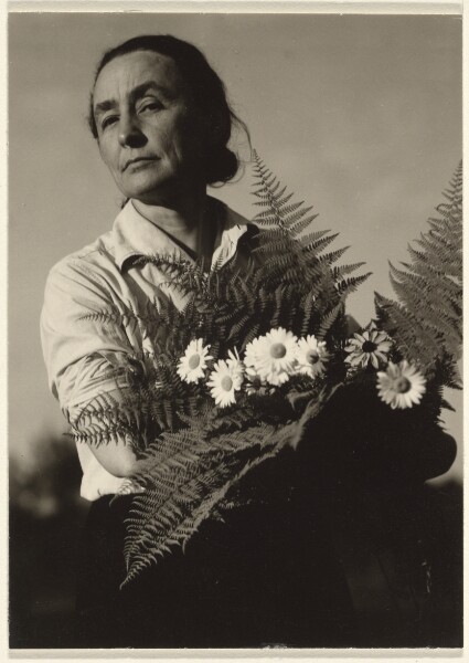 Alfred Stieglitz, Georgia O'Keeffe: A Portrait - With Flowers